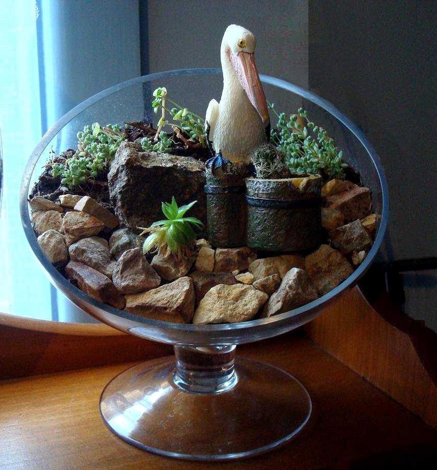 Angle Pelican 