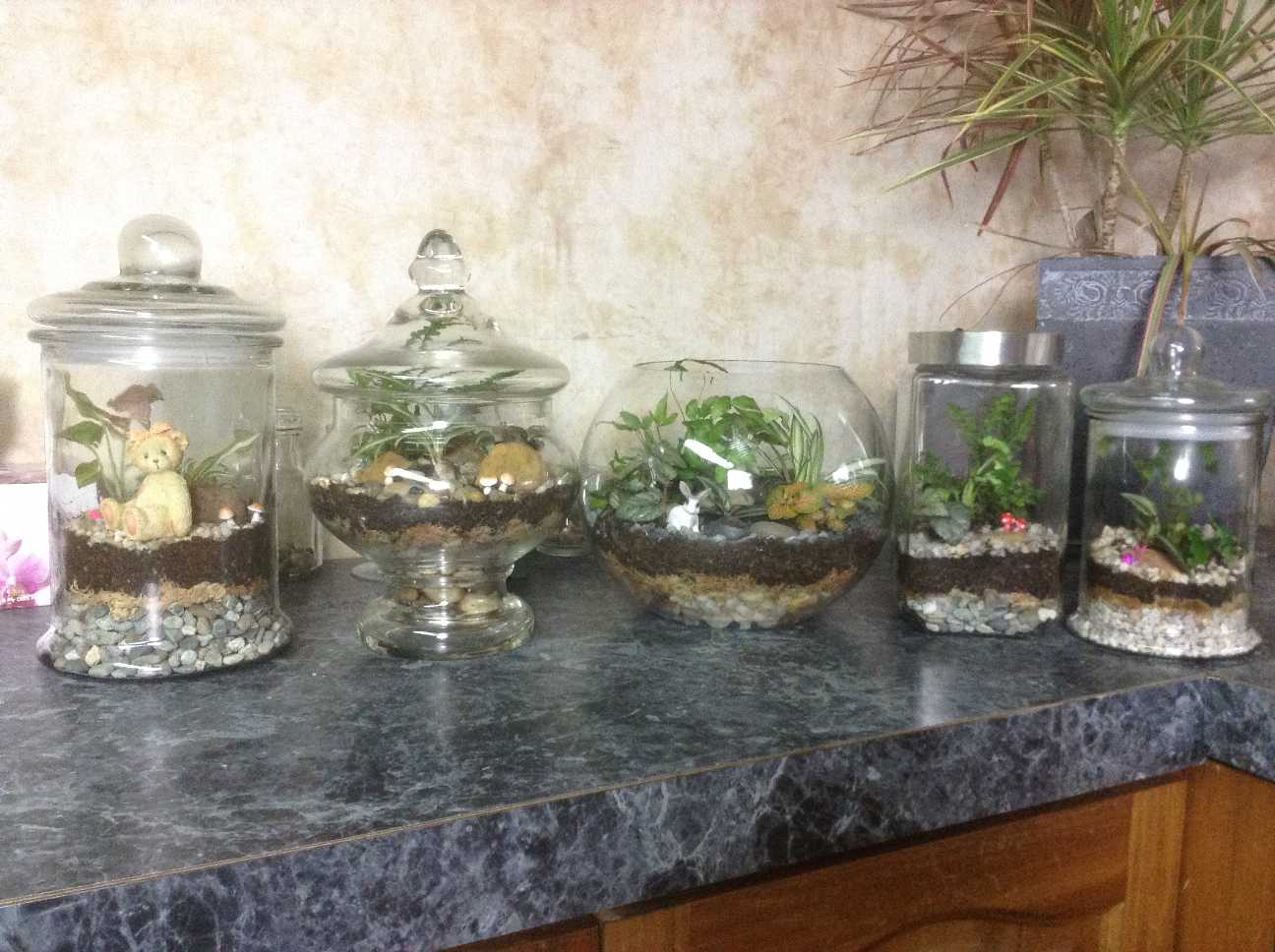 Bench 5 Jars 