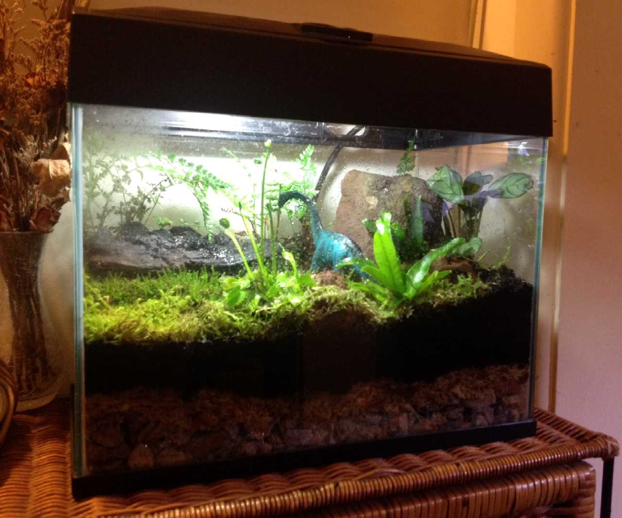 Fly trap dino tank. 