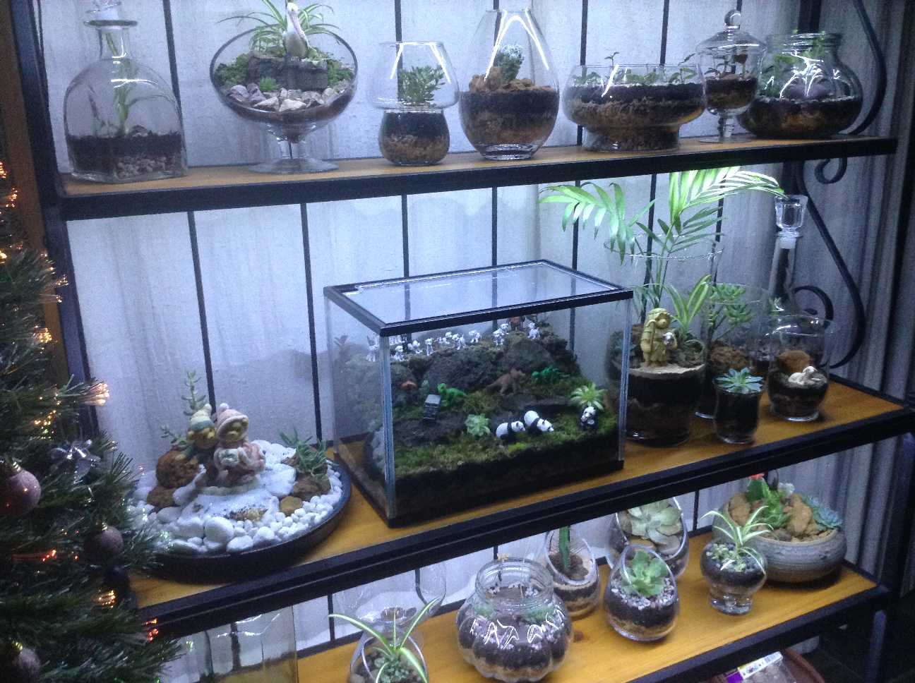 LED lit shelves 