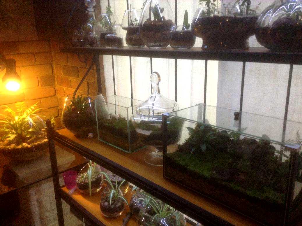 LED Lit shelves NE 
